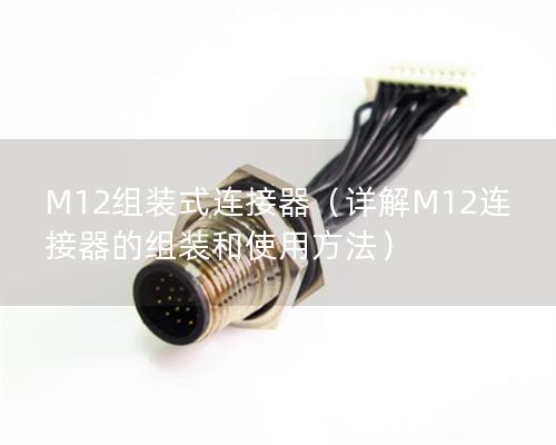 M12组装式连接器（详解M12连接器的组装和使用方法）