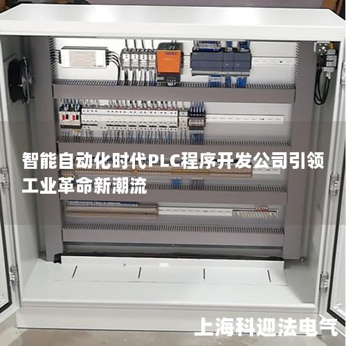 智能自动化时代PLC程序开发公司引领工业革命新潮流